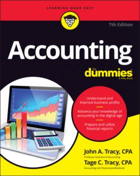 Читать Accounting For Dummies - John A. Tracy