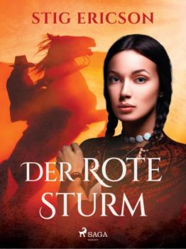 Читать Der rote Sturm - Stig Ericson
