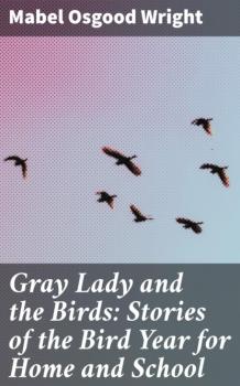 Читать Gray Lady and the Birds: Stories of the Bird Year for Home and School - Mabel Osgood Wright