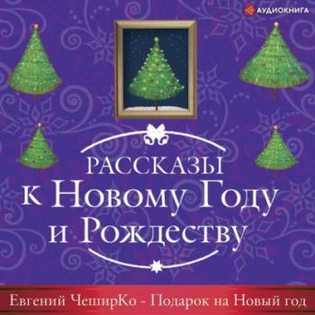 Читать Подарок на Новый Год - Евгений ЧеширКо