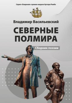 Читать Северные полмира - Владимир Васильевский