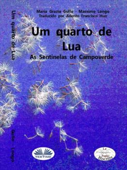 Читать Um Quarto De Lua - Massimo Longo