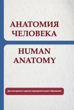 Читать Анатомия человека. Human anatomy - Е. С. Околокулак
