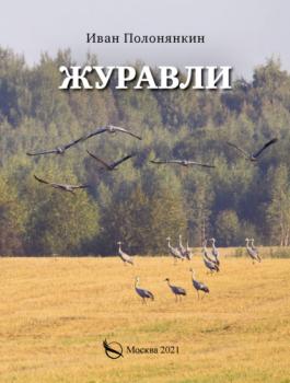Читать Журавли - Иван Полонянкин