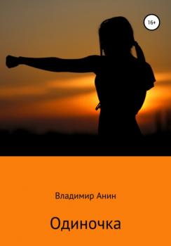 Читать Одиночка - Владимир Анин