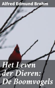 Читать Het Leven der Dieren: De Boomvogels - Alfred Edmund Brehm