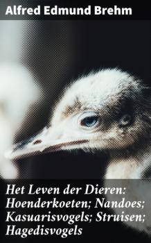 Читать Het Leven der Dieren: Hoenderkoeten; Nandoes; Kasuarisvogels; Struisen; Hagedisvogels - Alfred Edmund Brehm