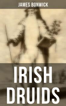 Читать Irish Druids - James Bonwick