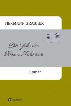 Читать Die Zofe des Herrn Salomon - Hermann Grabher