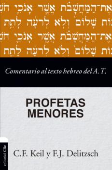 Читать Comentario al texto hebreo del Antiguo Testamento - Profetas Menores - C. F. Keil