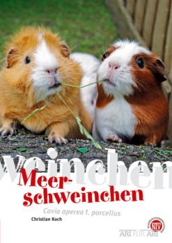 Читать Meerschweinchen - Christian Koch