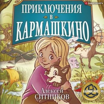 Читать Приключения в Кармашкино - Алексей Ситников