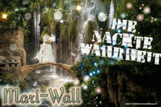 Читать Die Nackte Warheit - Mari- Wall