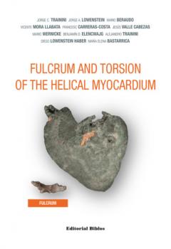 Читать Fulcrum and Torsion of the Helical Myocardium - Jorge C. Trainini