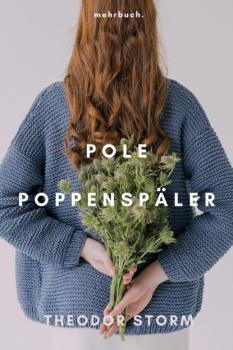 Читать Pole Poppenspäler - Theodor Storm