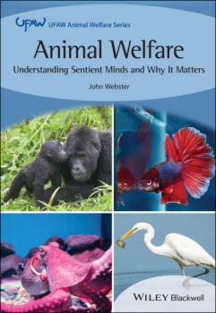 Читать Animal Welfare - John  Webster