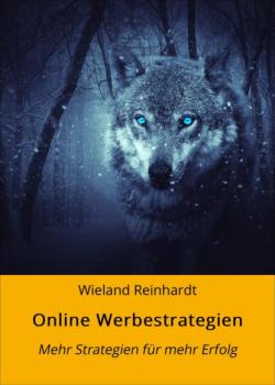Читать Online Werbestrategien - Wieland Reinhardt