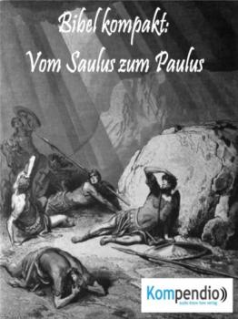 Читать Vom Saulus zum Paulus - Alessandro Dallmann