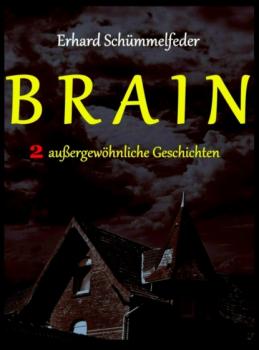 Читать BRAIN - Erhard Schümmelfeder