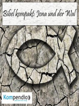 Читать Jona und der Wal - Alessandro Dallmann