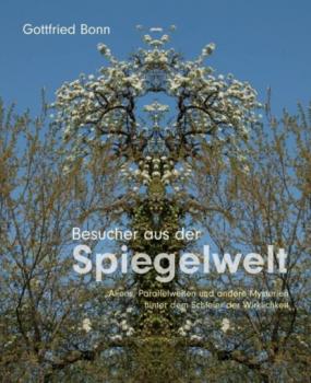 Читать Besucher aus der Spiegelwelt - Gottfried Bonn