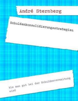Читать Schuldenkonsolidierungsstrategien - André Sternberg