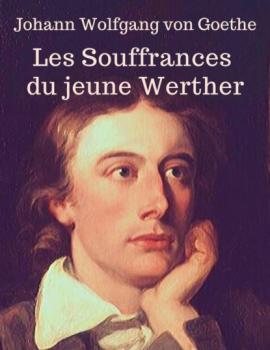 Читать Les Souffrances du jeune Werther (En lettres d'ancre) - Johann Wolfgang von Goethe