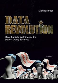 Читать Data Revolution - Michael Toedt