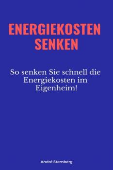 Читать Energiekosten senkenEnergiekosten senken - André Sternberg