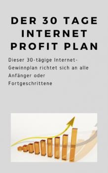 Читать Der 30 Tage Internet Profit Plan - André Sternberg