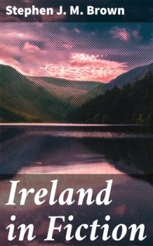 Читать Ireland in Fiction - Stephen J. M. Brown
