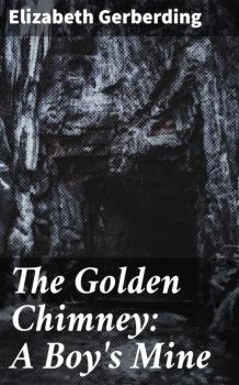 Читать The Golden Chimney: A Boy's Mine - Elizabeth Gerberding