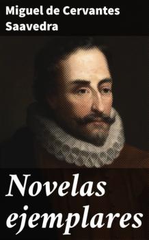 Читать Novelas ejemplares - Miguel de Cervantes Saavedra