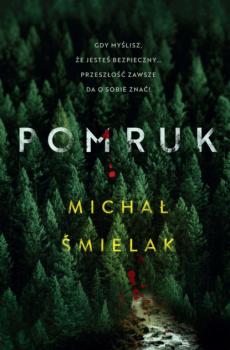 Читать Pomruk - Michał Śmielak