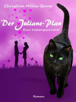 Читать Der Juliane-Plan - Christina Maria Bauer