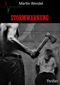 Читать Stormwarnung - Martin Wendel