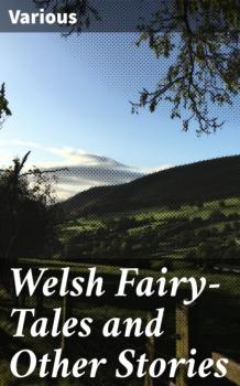 Читать Welsh Fairy-Tales and Other Stories - Various
