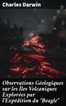 Читать Observations Géologiques sur les Îles Volcaniques Explorées par l'Expédition du 