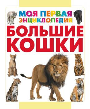 Читать Большие кошки - Анна Спектор