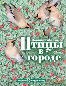 Читать Птицы в городе - Наталья Габеева
