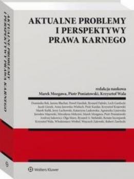 Читать Aktualne problemy i perspektywy prawa karnego - Marek Mozgawa