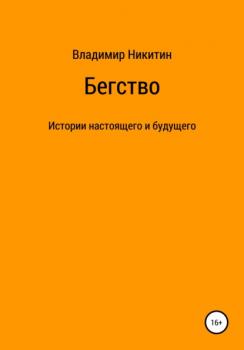 Читать Бегство - Владимир Никитин
