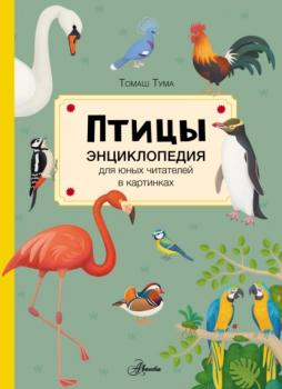 Читать Птицы - Томаш Тума