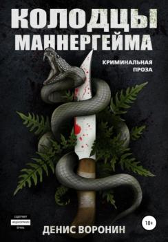Читать Колодцы Маннергейма - Денис Алексеевич Воронин