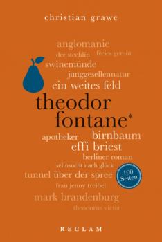 Читать Theodor Fontane. 100 Seiten - Christian Grawe