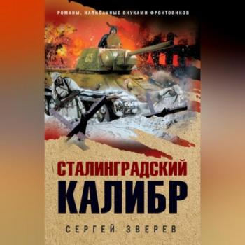 Читать Сталинградский калибр - Сергей Зверев