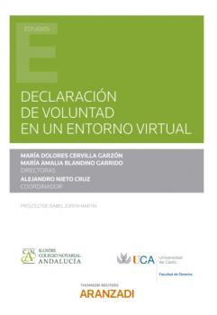 Читать Declaración de voluntad en un entorno virtual - Mª Amalia Blandino Garrido