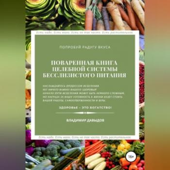 Читать Поваренная книга целебной системы бесслизистого питания - Владимир Давыдов