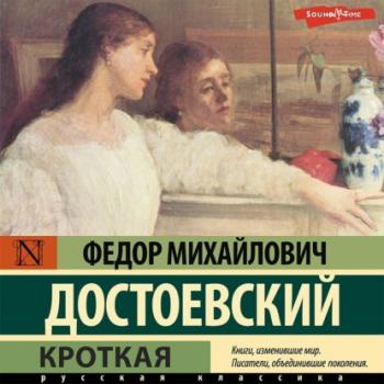 Читать Кроткая - Федор Достоевский