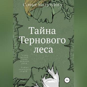 Читать Тайна тернового леса - Софья Матюхина